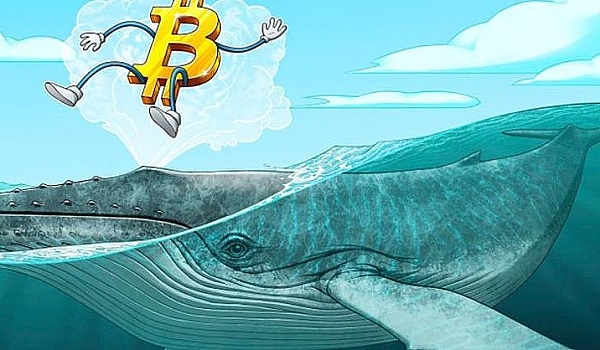 UNI：颠覆加密交易格局的百倍币潜力股