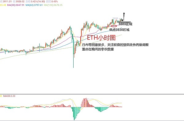 投资新宠DGB币：比特币家族的潜力股值不值得长期持有？